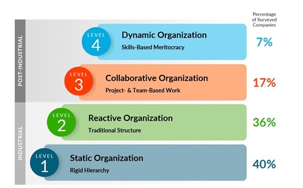 Bersin-onderzoek static vs dynamic organisation